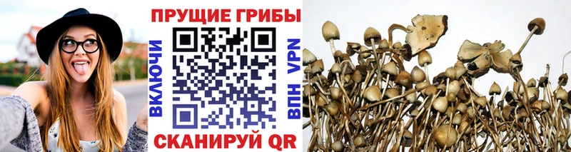 как найти наркотики  даркнет формула  Псилоцибиновые грибы ЛСД  Ипатово 